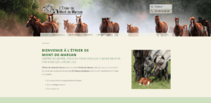 Création de site internet dans les Landes